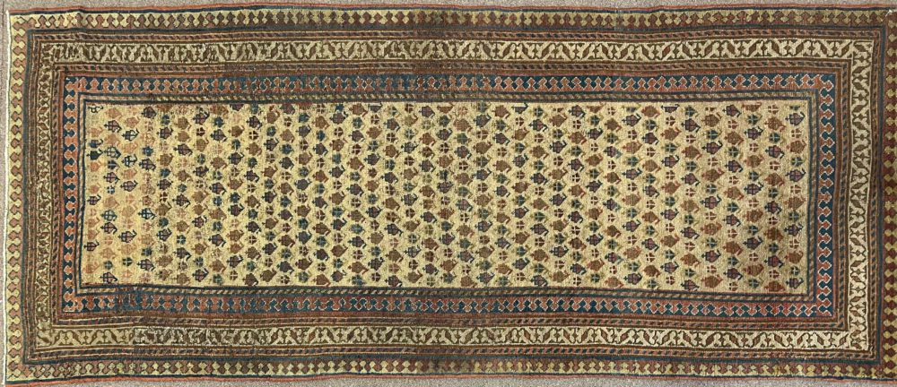 kurdish persian 3-4x7-10 ws