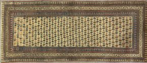 kurdish persian 3-4x7-10 ws